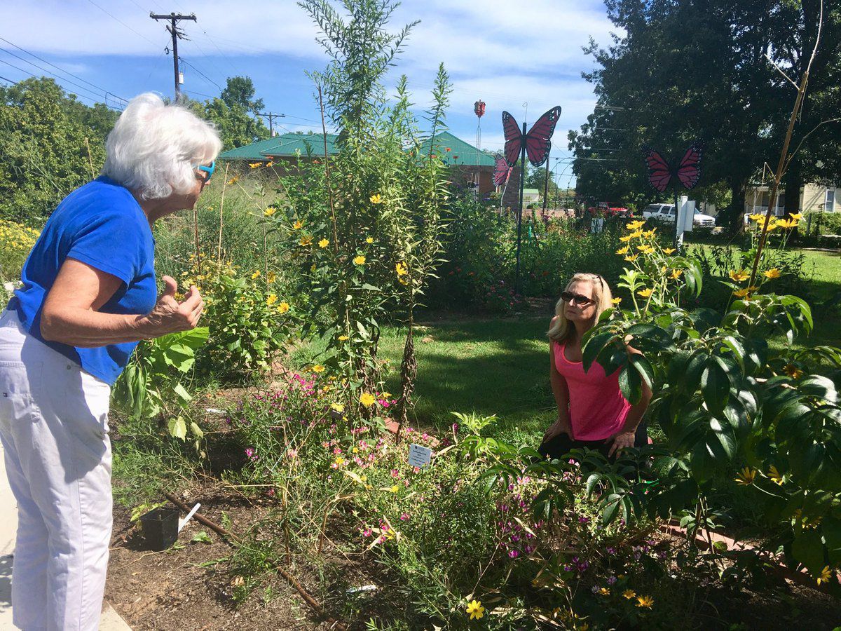 Community invited to see Jeffers Bend garden